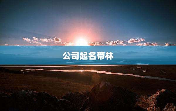 公司起名带林