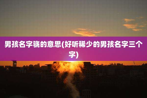 男孩名字骁的意思(好听稀少的男孩名字三个字)