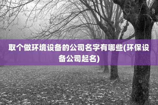 取个做环境设备的公司名字有哪些(环保设备公司起名)