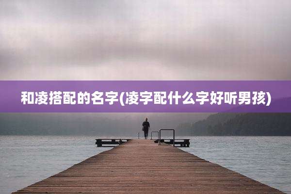 和凌搭配的名字(凌字配什么字好听男孩)