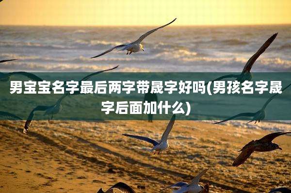 男宝宝名字最后两字带晟字好吗(男孩名字晟字后面加什么)