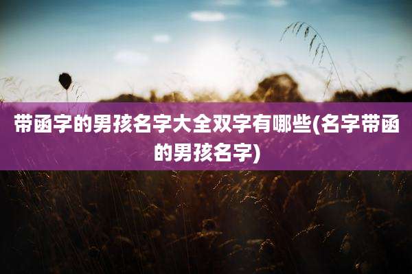 带函字的男孩名字大全双字有哪些(名字带函的男孩名字)