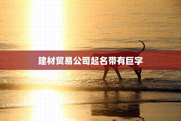 建材贸易公司起名带有巨字