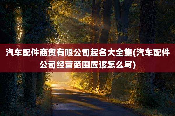 汽车配件商贸有限公司起名大全集(汽车配件公司经营范围应该怎么写)