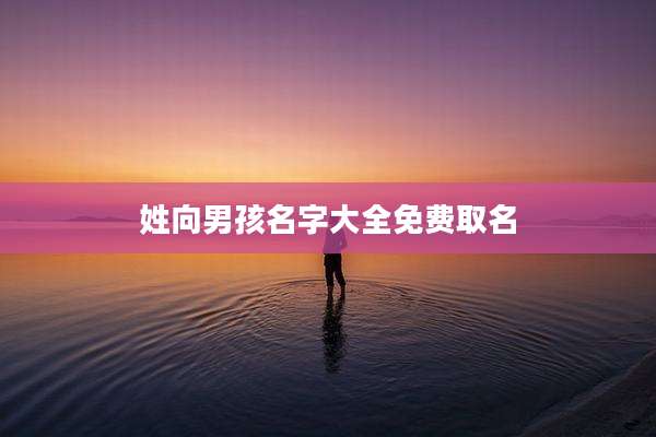 姓向男孩名字大全免费取名