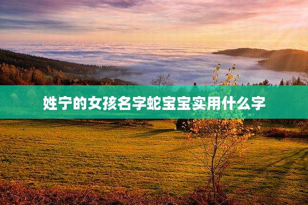 姓宁的女孩名字蛇宝宝实用什么字