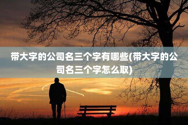 带大字的公司名三个字有哪些(带大字的公司名三个字怎么取)