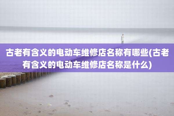 古老有含义的电动车维修店名称有哪些(古老有含义的电动车维修店名称是什么)