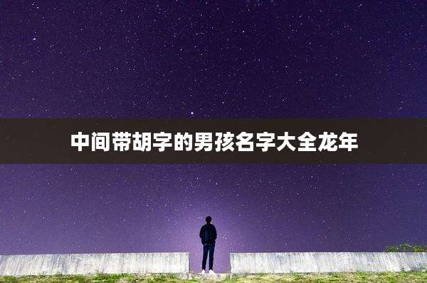 中间带胡字的男孩名字大全龙年