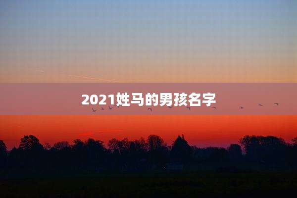 2021姓马的男孩名字