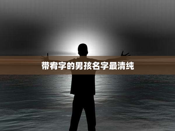 带宥字的男孩名字最清纯