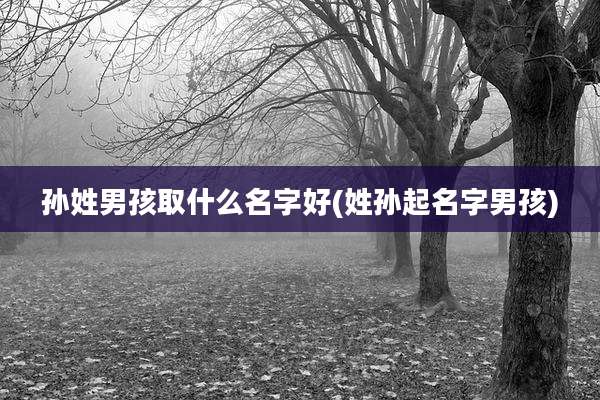 孙姓男孩取什么名字好(姓孙起名字男孩)