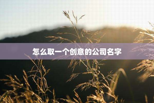 怎么取一个创意的公司名字