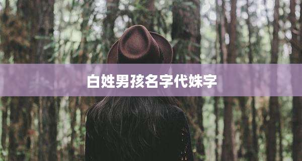 白姓男孩名字代姝字