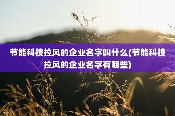 节能科技拉风的企业名字叫什么(节能科技拉风的企业名字有哪些)