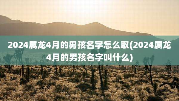2024属龙4月的男孩名字怎么取(2024属龙4月的男孩名字叫什么)