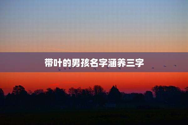 带叶的男孩名字涵养三字