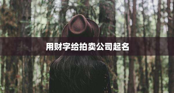 用财字给拍卖公司起名