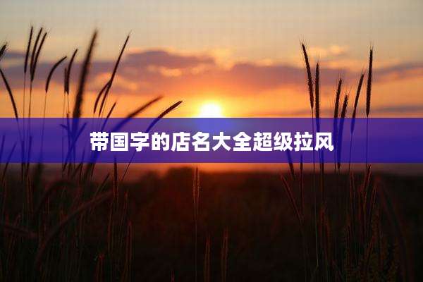 带国字的店名大全超级拉风