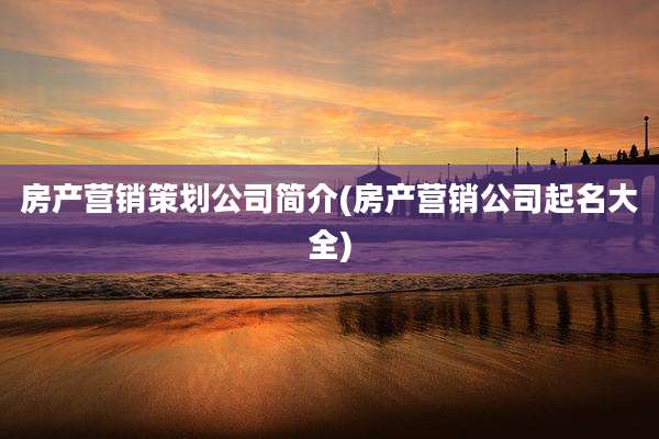 房产营销策划公司简介(房产营销公司起名大全)