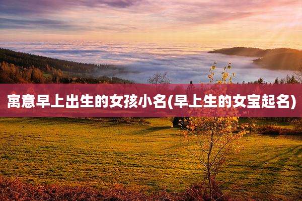 寓意早上出生的女孩小名(早上生的女宝起名)