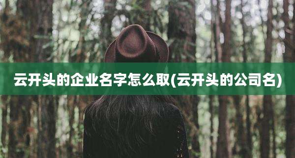 云开头的企业名字怎么取(云开头的公司名)