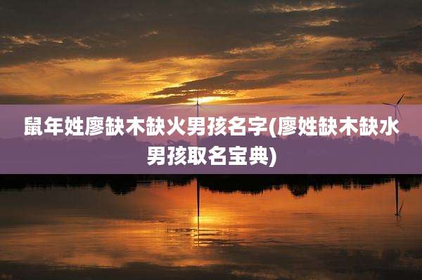 鼠年姓廖缺木缺火男孩名字(廖姓缺木缺水男孩取名宝典)