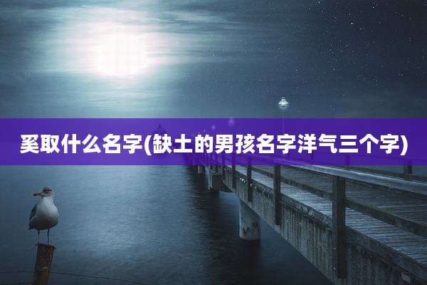 奚取什么名字(缺土的男孩名字洋气三个字)