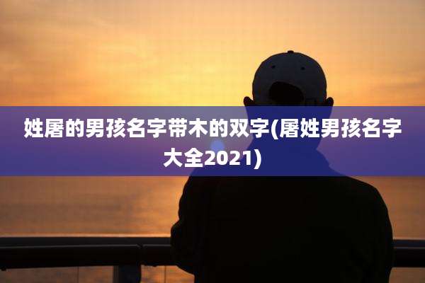 姓屠的男孩名字带木的双字(屠姓男孩名字大全2021)