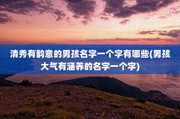清秀有韵意的男孩名字一个字有哪些(男孩大气有涵养的名字一个字)