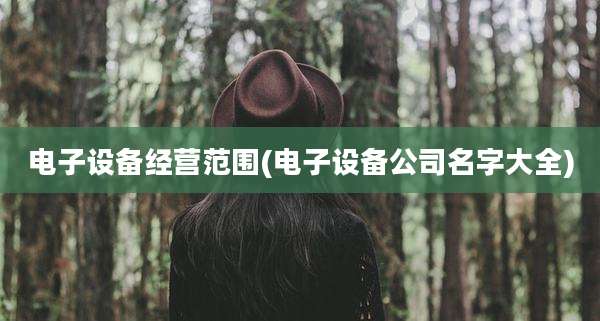 电子设备经营范围(电子设备公司名字大全)