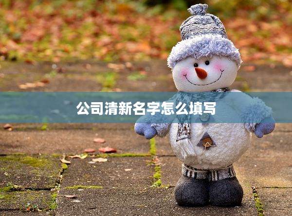 公司清新名字怎么填写