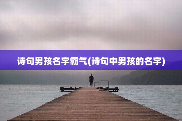 诗句男孩名字霸气(诗句中男孩的名字)