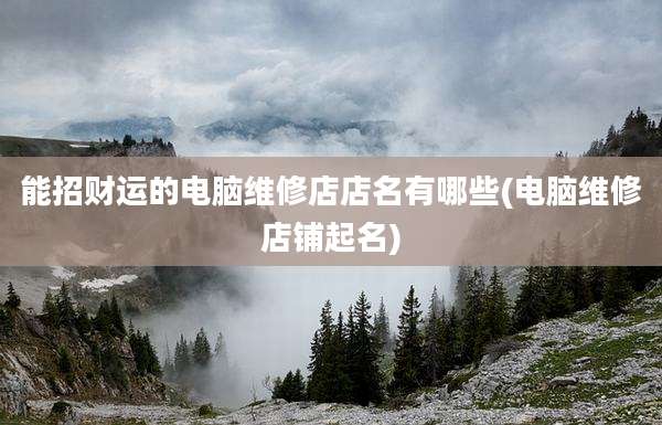 能招财运的电脑维修店店名有哪些(电脑维修店铺起名)