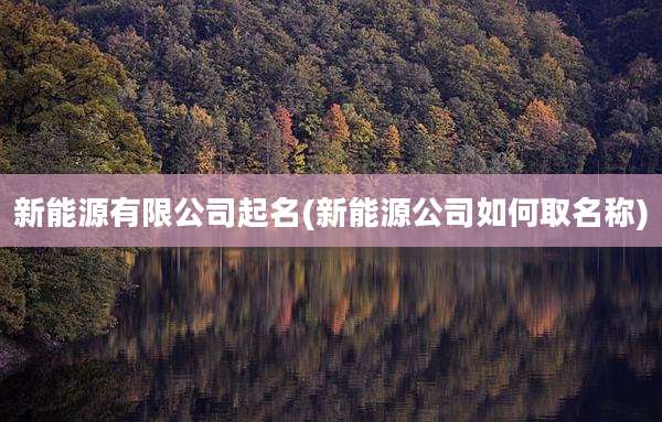 新能源有限公司起名(新能源公司如何取名称)