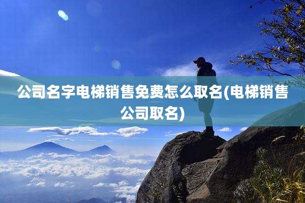 公司名字电梯销售免费怎么取名(电梯销售公司取名)