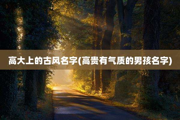 高大上的古风名字(高贵有气质的男孩名字)