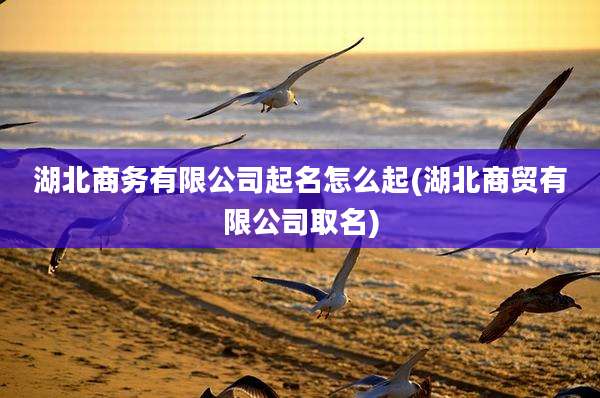 湖北商务有限公司起名怎么起(湖北商贸有限公司取名)