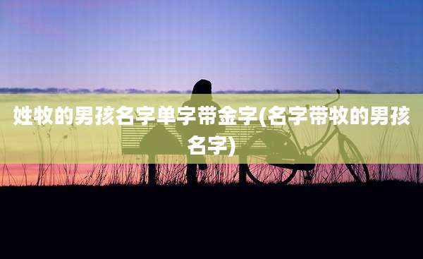 姓牧的男孩名字单字带金字(名字带牧的男孩名字)