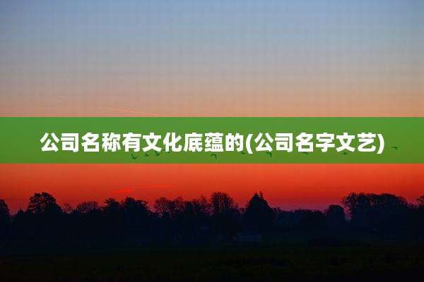 公司名称有文化底蕴的(公司名字文艺)