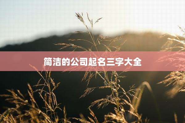 简洁的公司起名三字大全