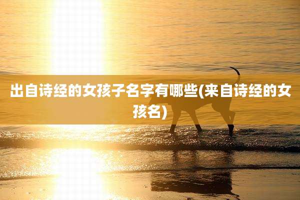 出自诗经的女孩子名字有哪些(来自诗经的女孩名)