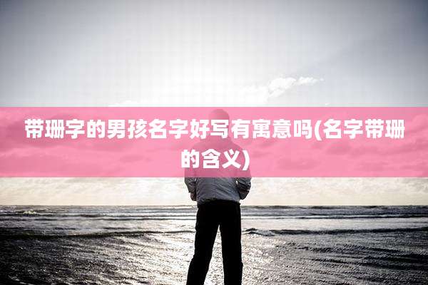 带珊字的男孩名字好写有寓意吗(名字带珊的含义)