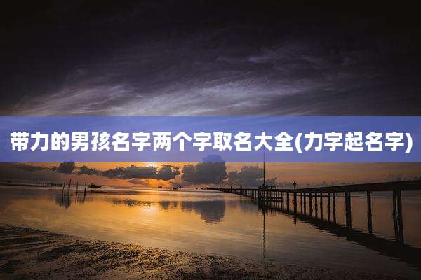 带力的男孩名字两个字取名大全(力字起名字)