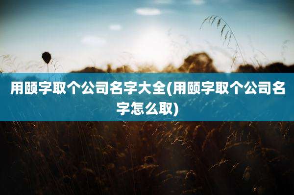 用颐字取个公司名字大全(用颐字取个公司名字怎么取)
