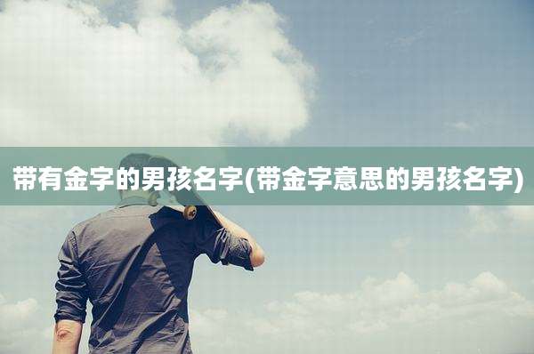 带有金字的男孩名字(带金字意思的男孩名字)