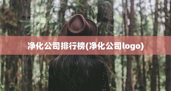 净化公司排行榜(净化公司logo)