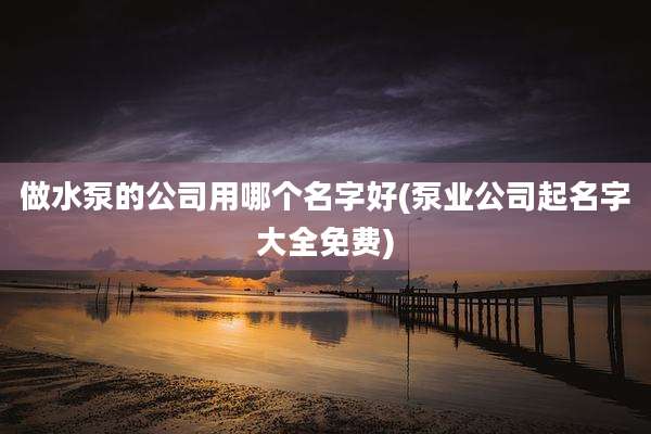做水泵的公司用哪个名字好(泵业公司起名字大全免费)