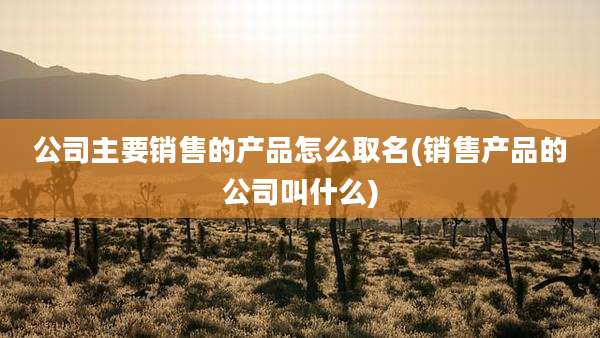 公司主要销售的产品怎么取名(销售产品的公司叫什么)