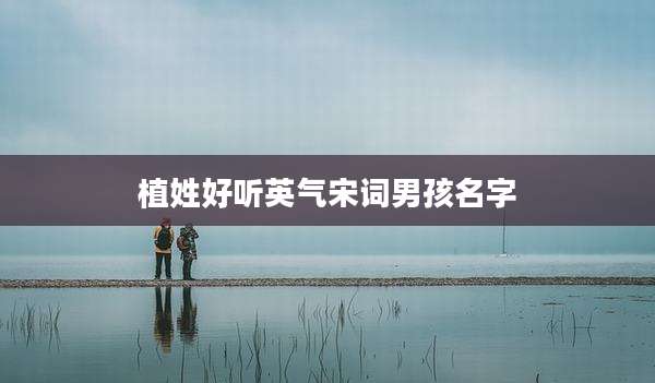 植姓好听英气宋词男孩名字